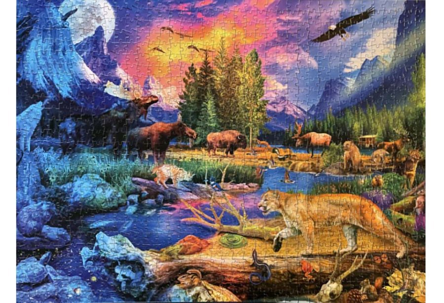 Buffalo Games Wild North Jigsaw Puzzle