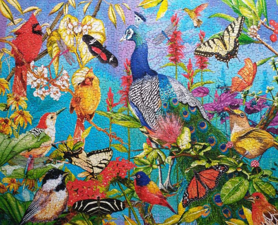 Springbok Peacock Garden Jigsaw Puzzle