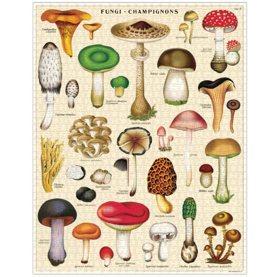 Cavallini Paper Co. Mushrooms Jigsaw Puzzle