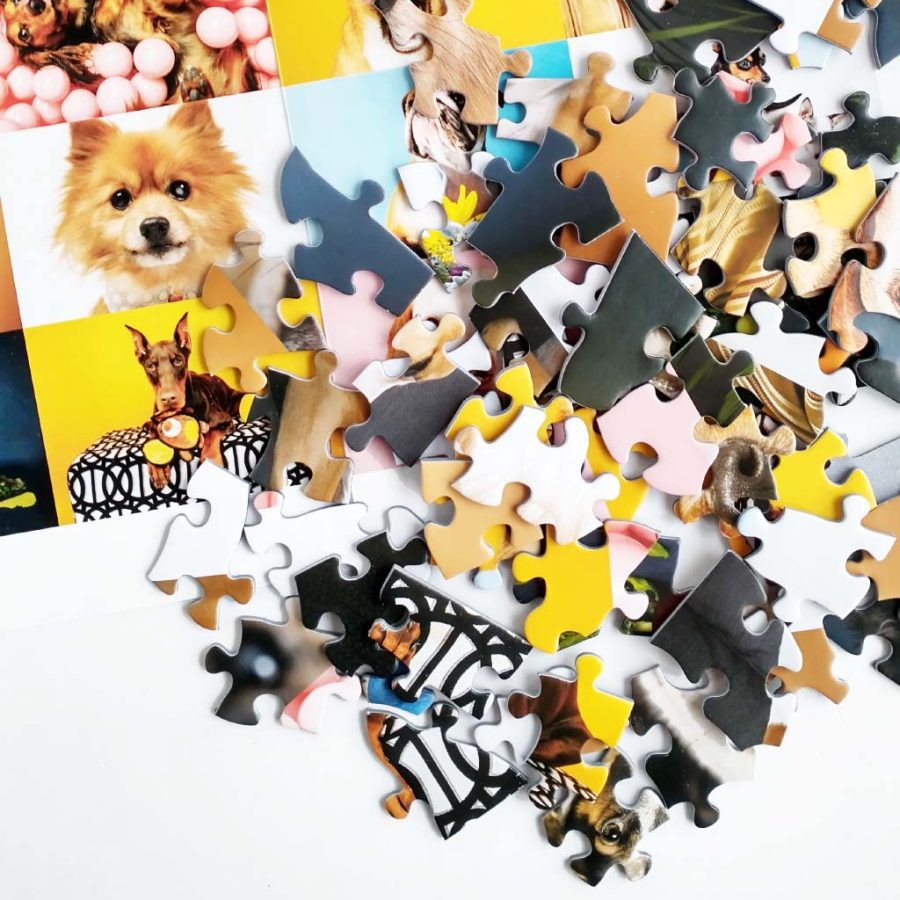 Oakland Puzzle Company Ellen Shershow Photography Benefit for Rocket Dog Jigsaw Puzzle