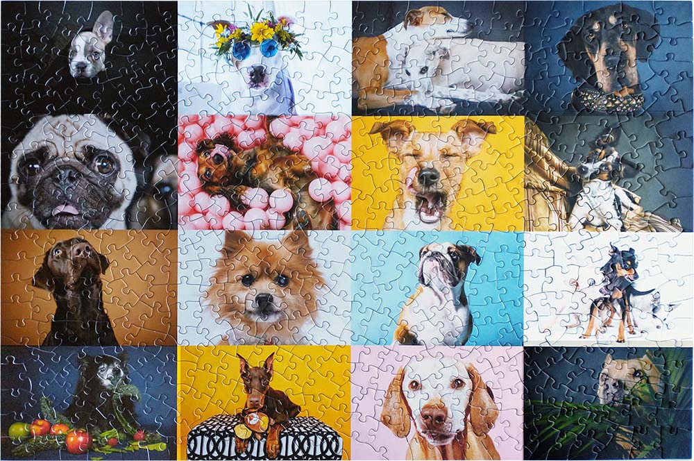 Oakland Puzzle Company Ellen Shershow Photography Benefit for Rocket Dog Jigsaw Puzzle