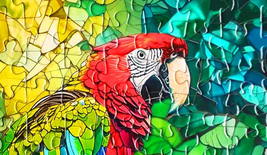 Nirvana Scarlet Macaw Jigsaw Puzzle