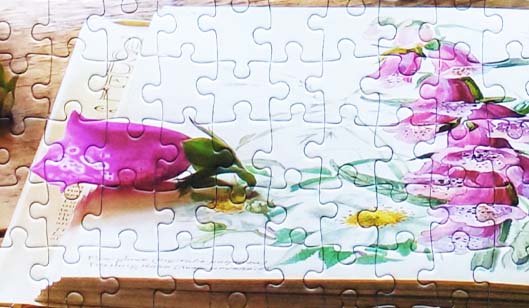 Castorland Still Life with Snapdragons Jigsaw Puzzle