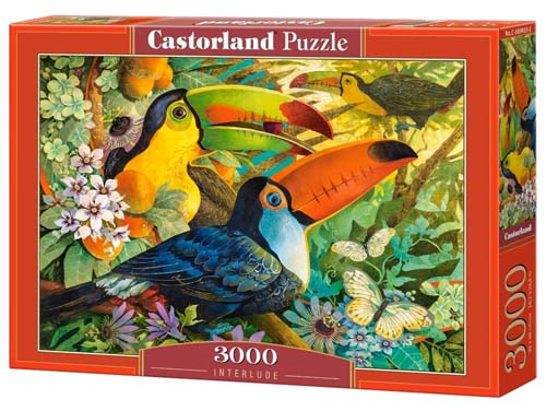 Castorland Interlude Jigsaw Puzzle