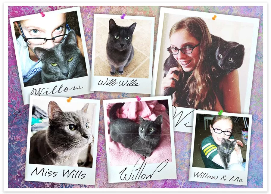 Ravensburger Custom Photo Jigsaw Puzzle